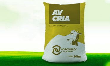 AV CRIA